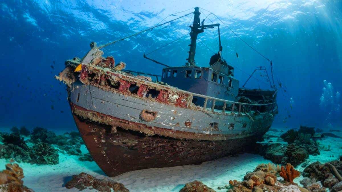 Un plongeur découvre un vaisseau naufragé qui révèle une histoire incroyable